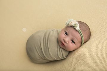 houston katy texas baby newborn best multiples twins professional maternity photographer