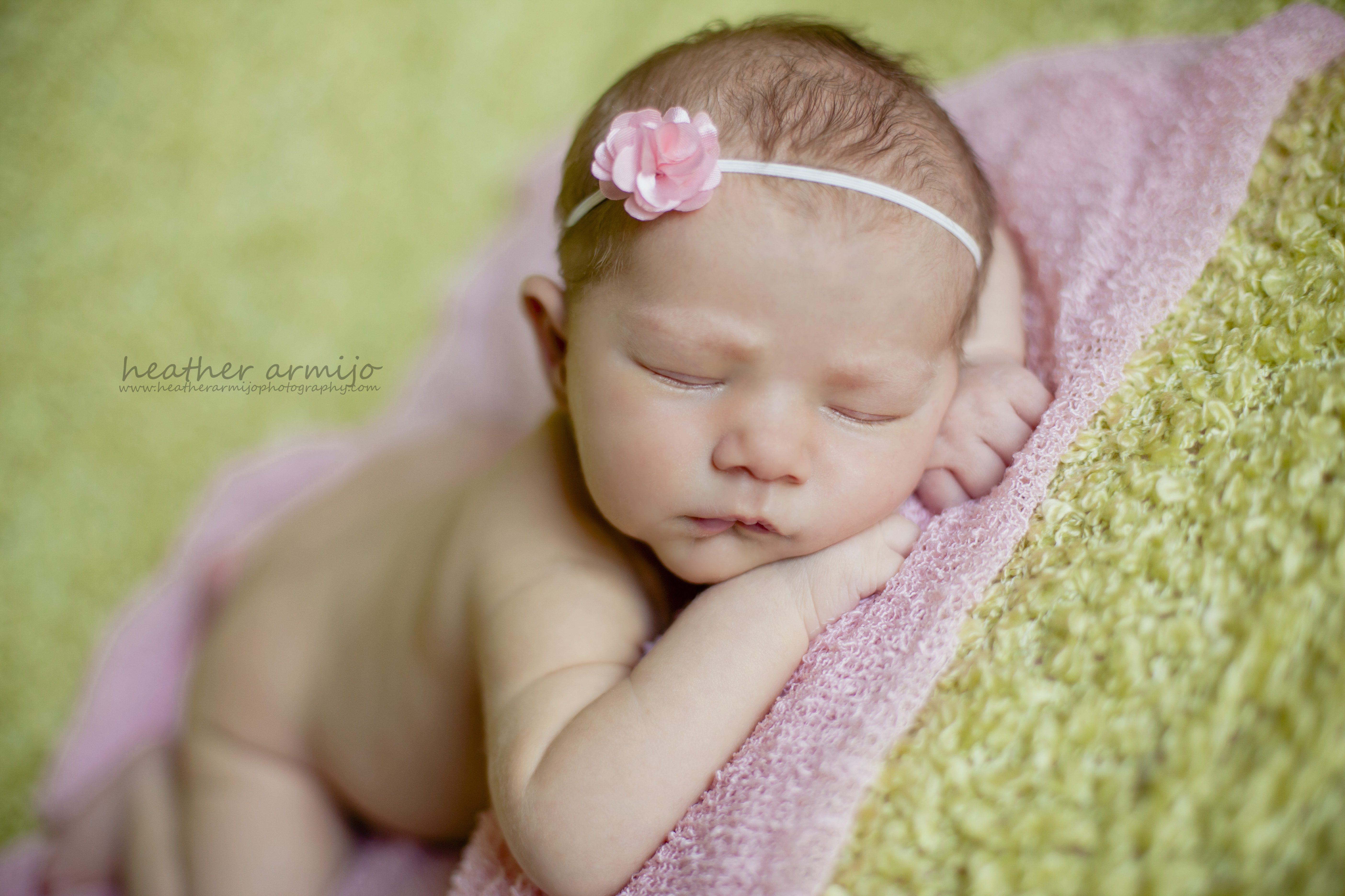 newborn baby child family maternity photographer Katy texas