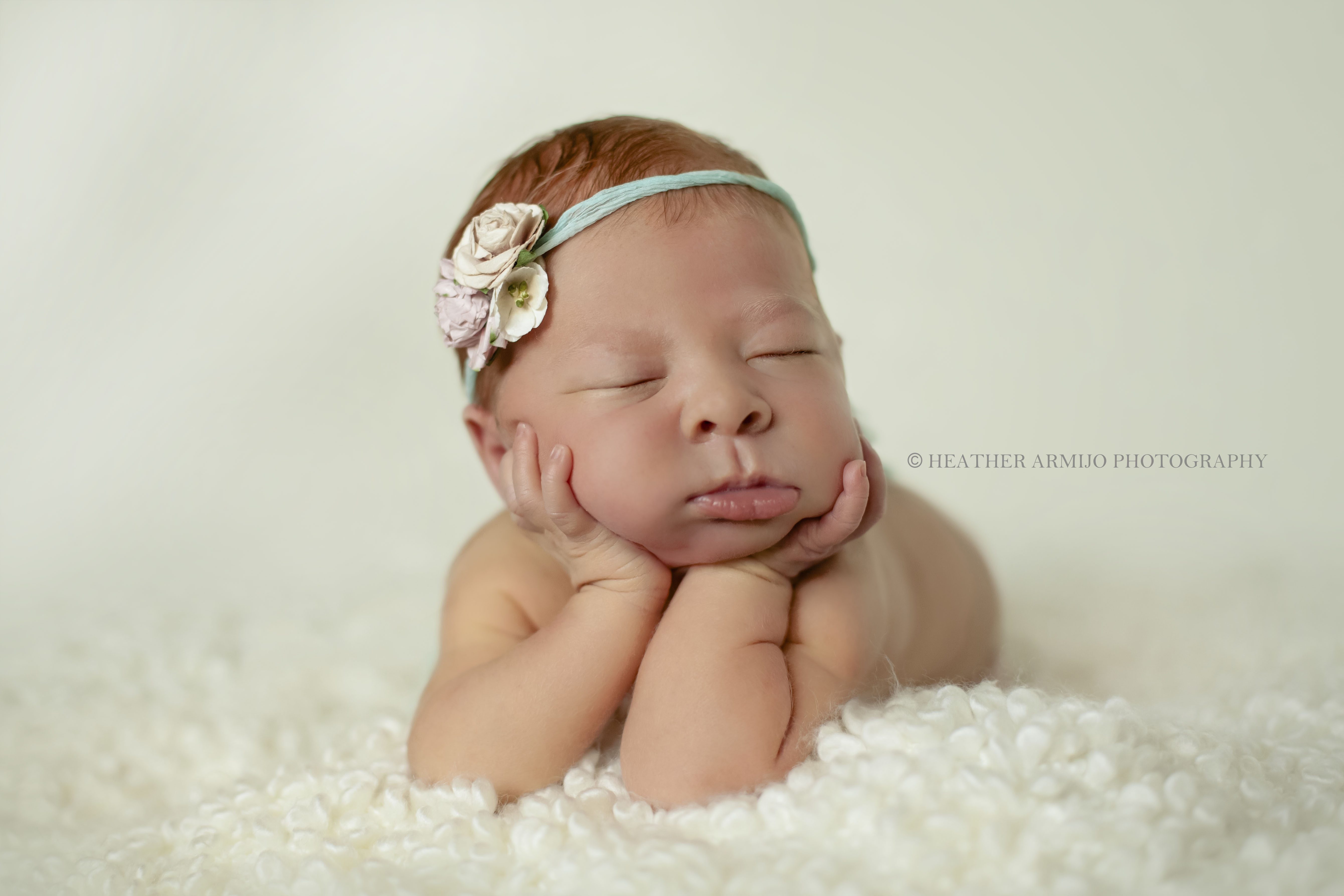 newborn photographer katy texas