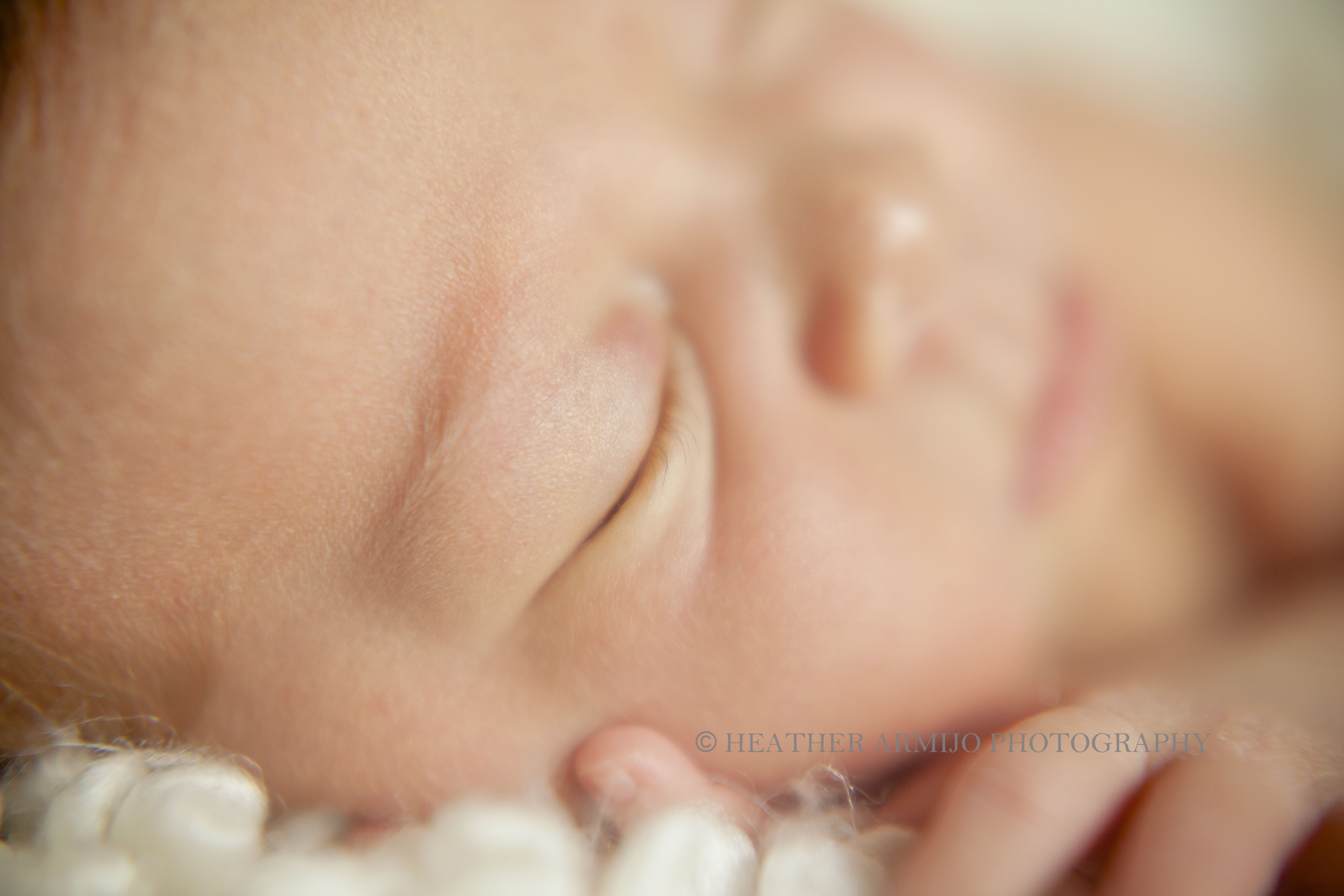 newborn photographer katy texas
