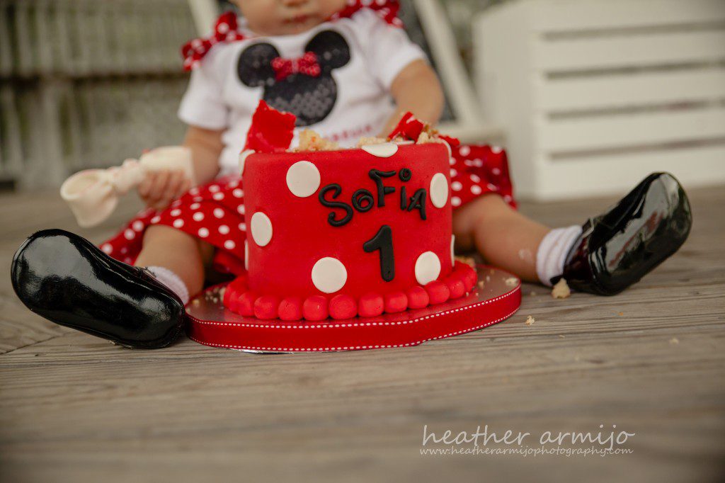 katy texas baby child first birthday smash cake family photographer