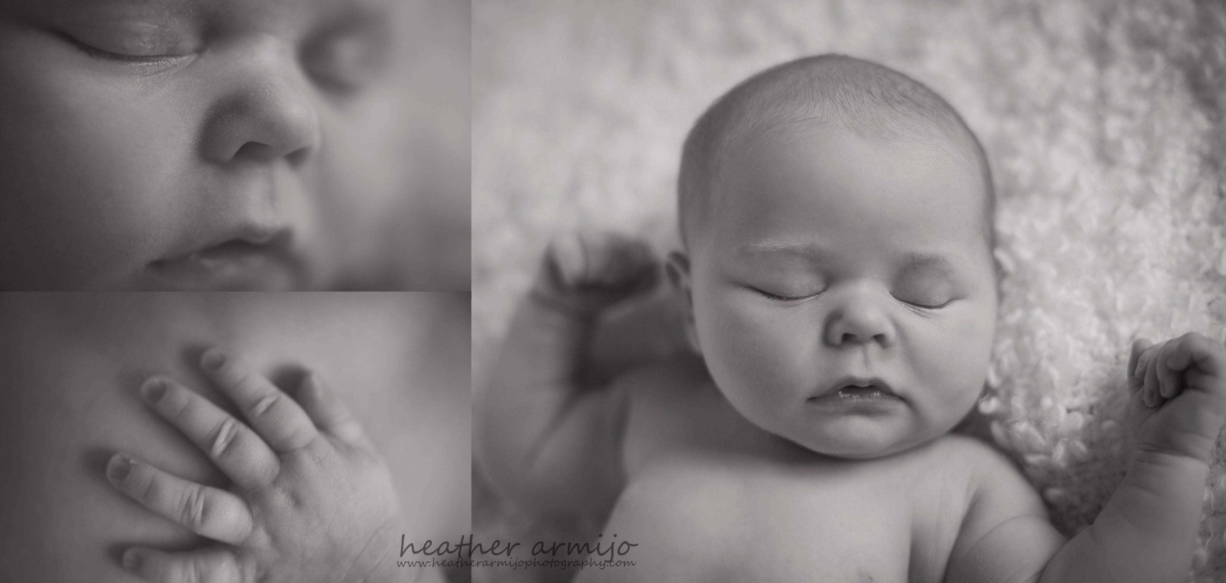 katy texas newborn studio baby photographer