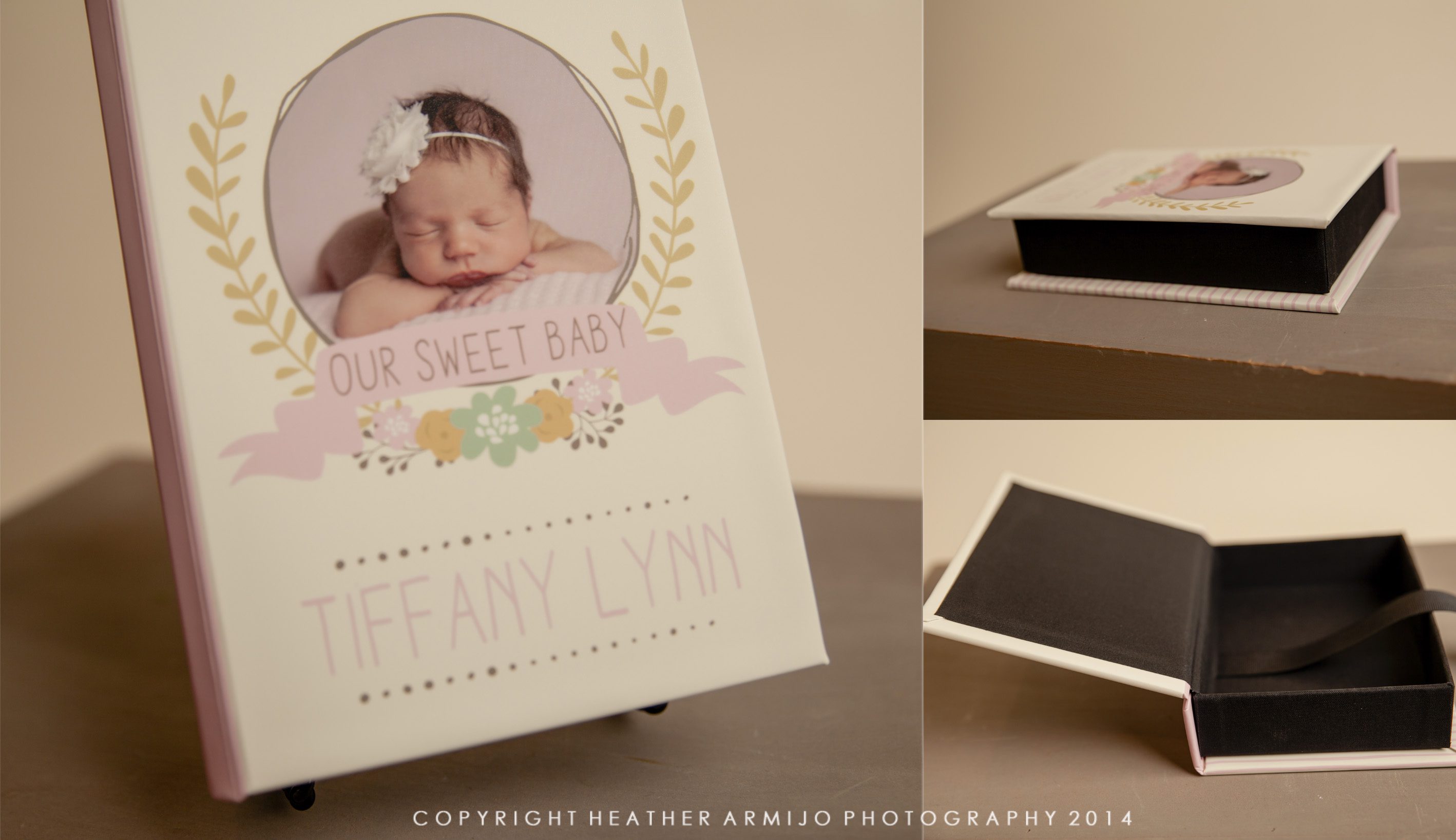 products offered katy texas newborn photographer