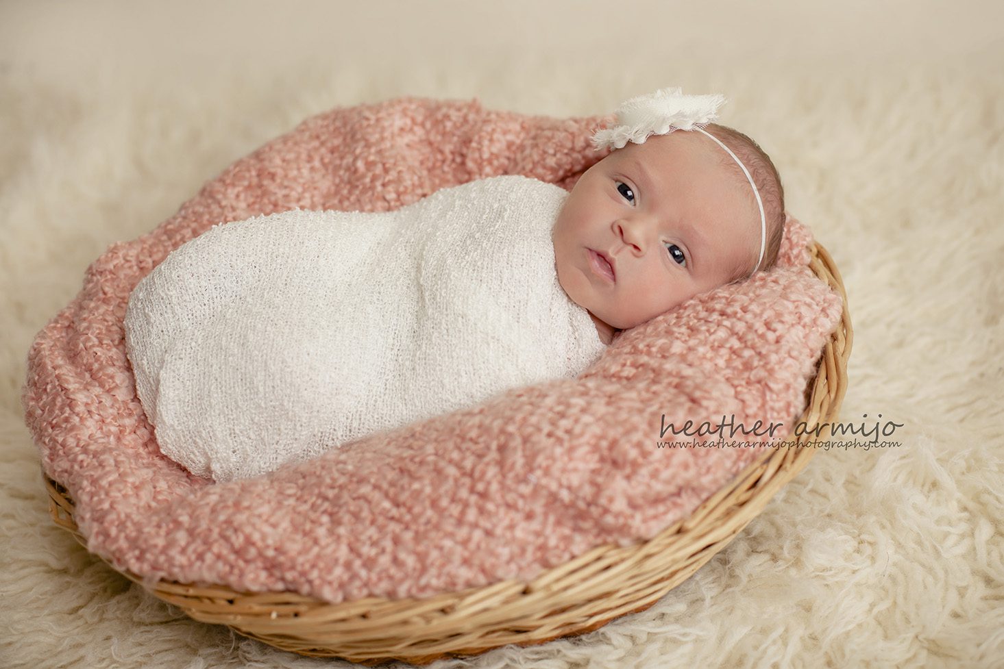 adorable katy texas newborn photography