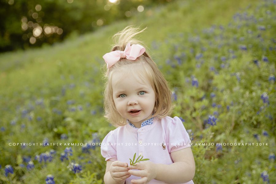 katy texas bluebonnet family photographer