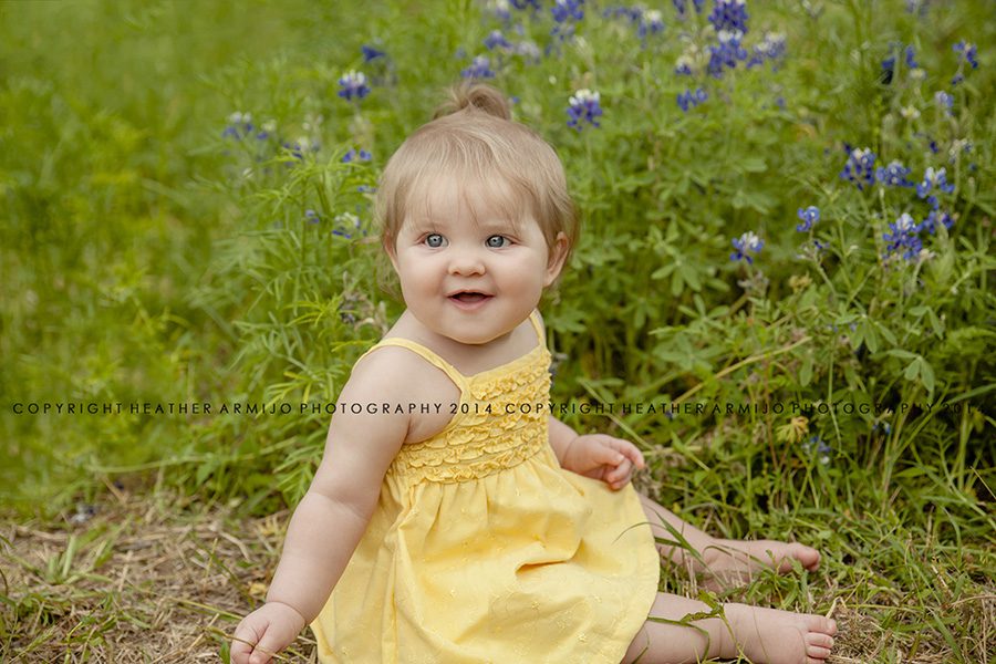 katy texas bluebonnet photographer