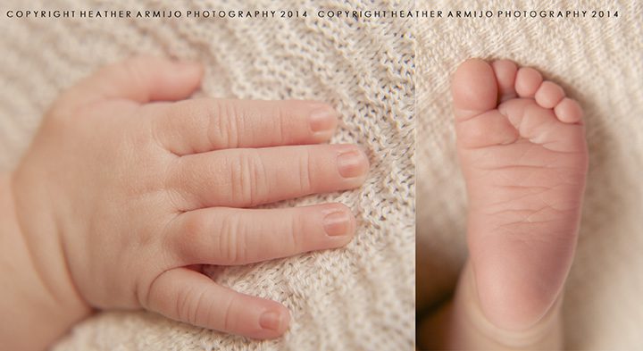 newborn baby photography katy texas