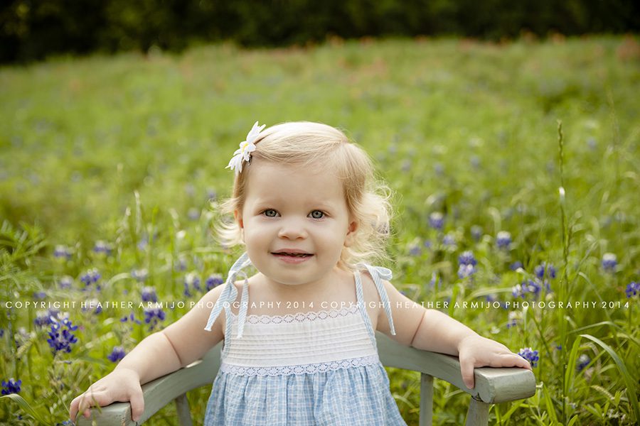 katy texas bluebonnet photographer