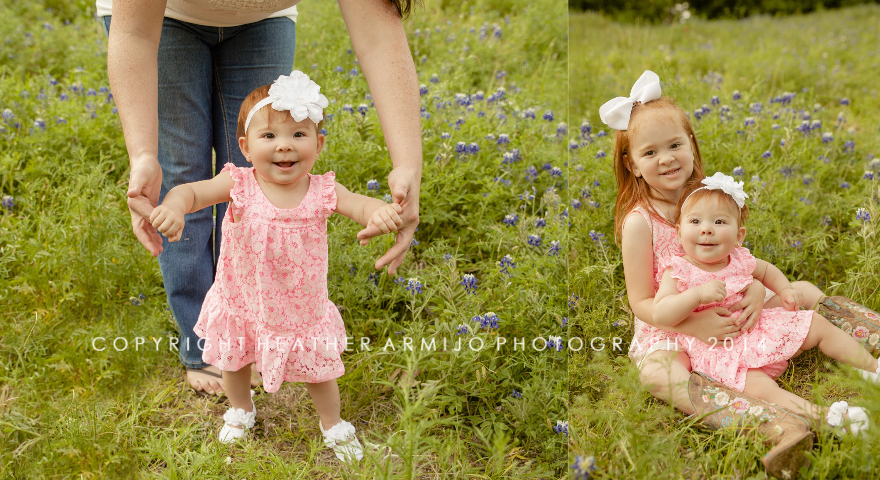 katy texas bluebonnet family photographer