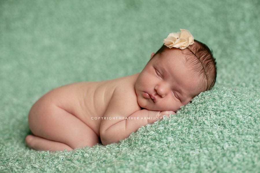 katy texas newborn