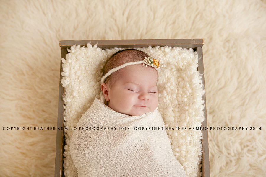 katy texas newborn baby photographer