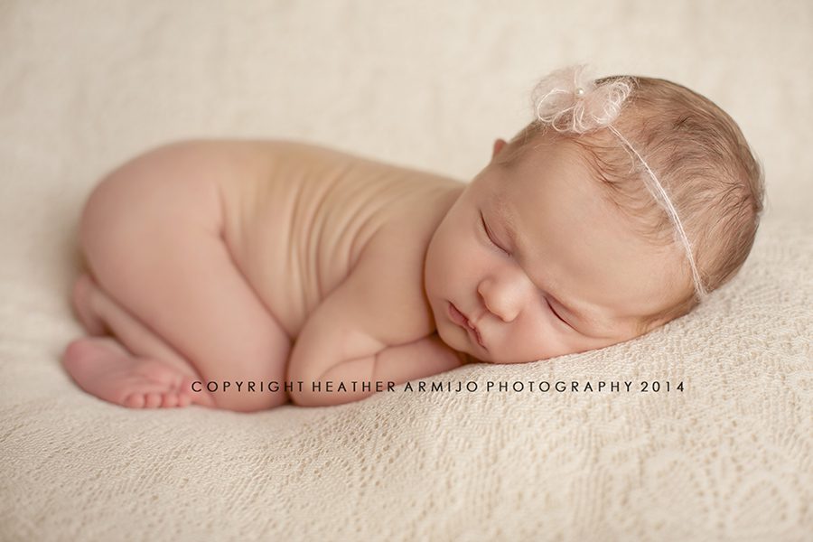 katy texas princess newborn picture