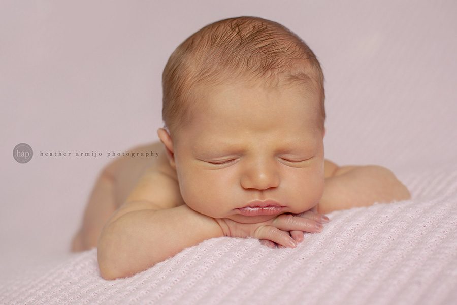 newborn picture katy texas