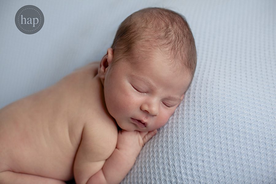 best newborn photographer katy texas