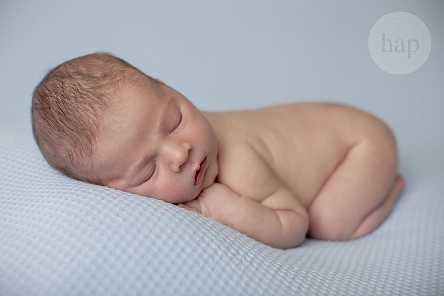 best newborn photographer katy texas