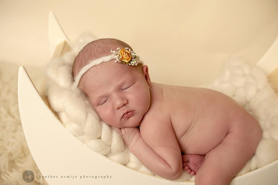 katy richmond fulshear houston texas newborn baby infant studio photographer