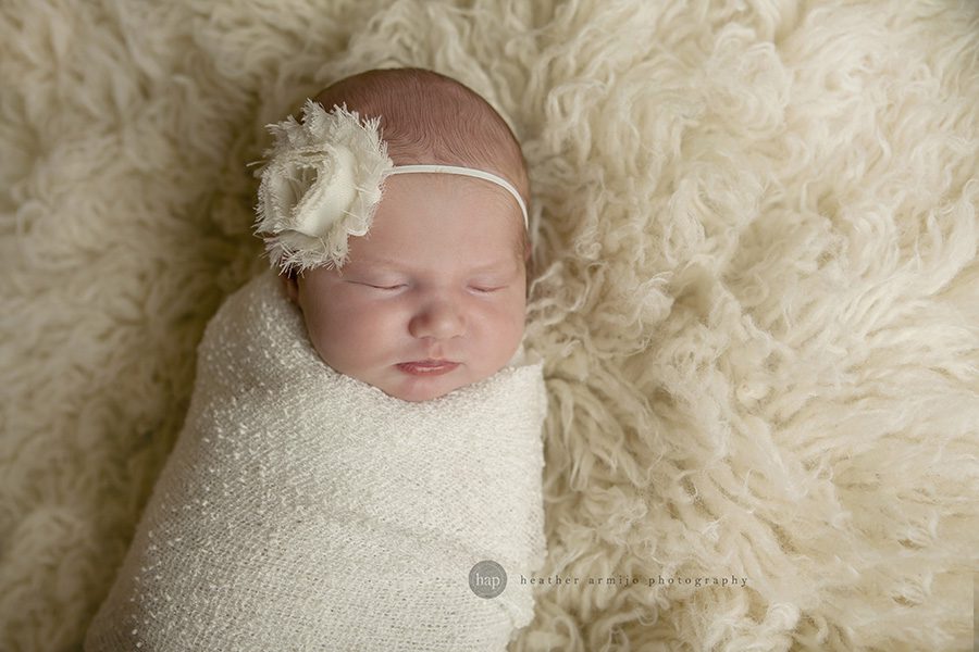 katy richmond fulshear houston texas newborn baby infant studio photographer