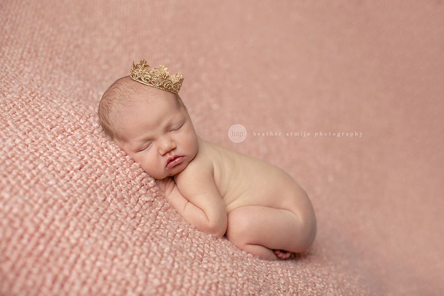 katy texas newborn baby infant picture photographer