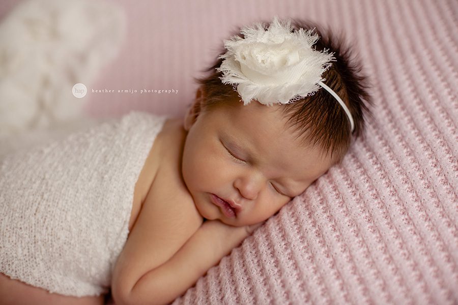 newborn photos in katy texas