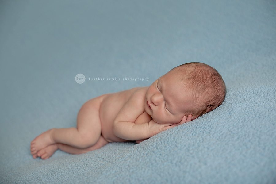 katy texas cinco ranch posed studio baby newborn photographer