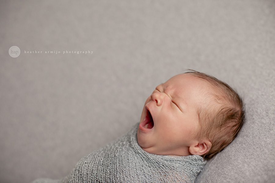 katy texas newborn photographer