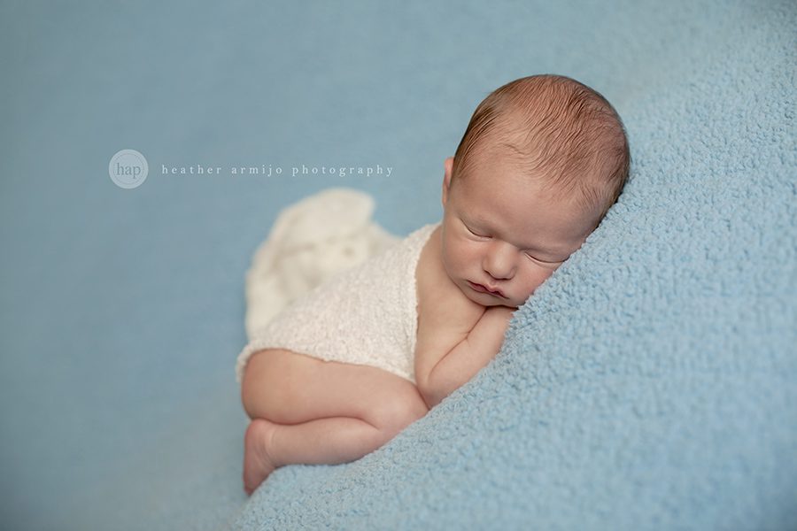 katy texas cinco ranch posed studio baby newborn photographer