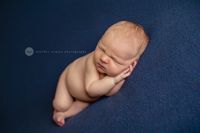 katy texas newborn baby picture