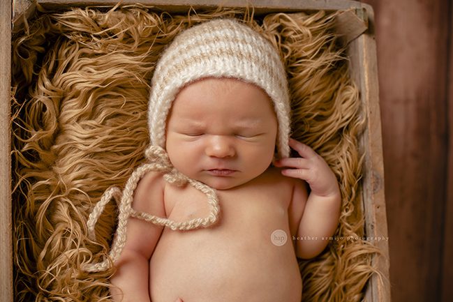 katy texas newborn baby picture