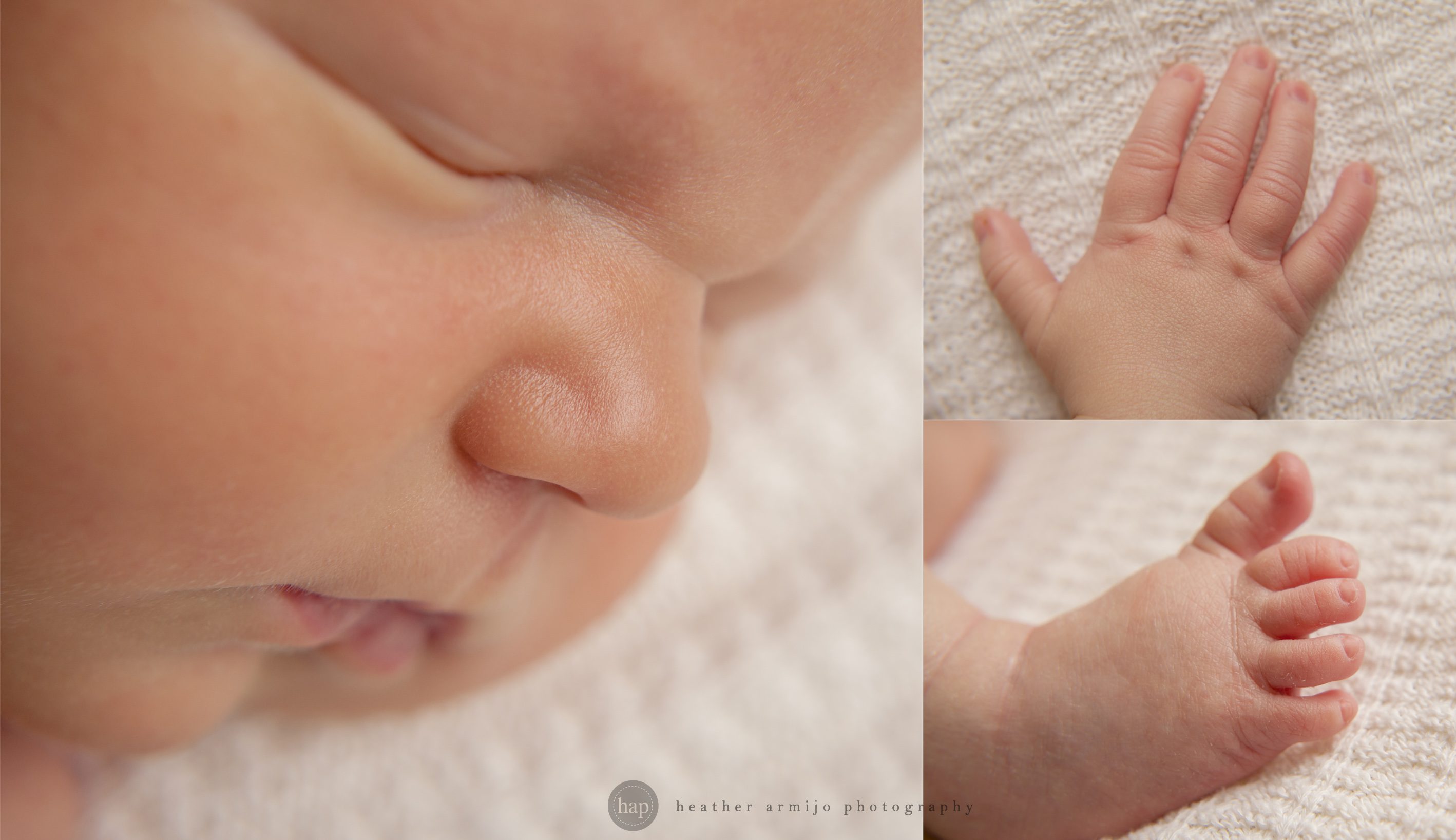 katy texas newborn baby picture