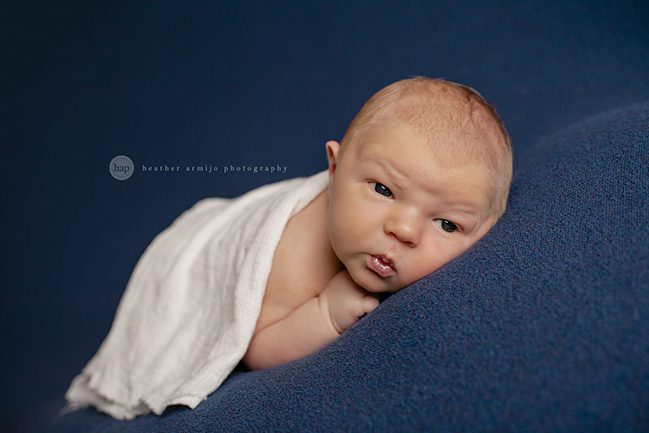 katy texas newborn baby picture