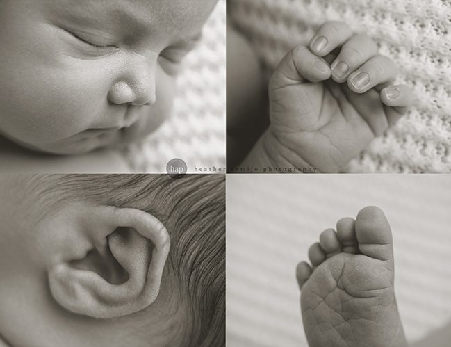 katy texas newborn maternity professional photographer