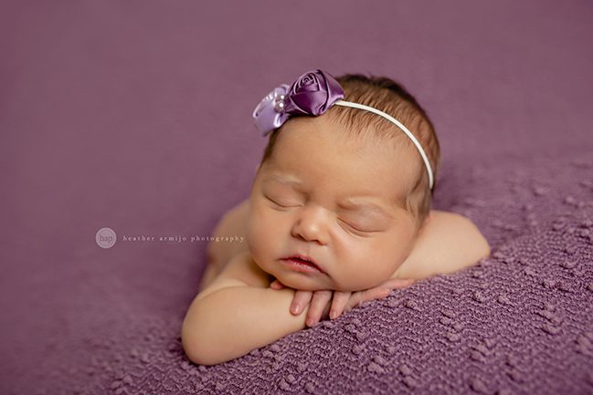 katy texas newborn pictures