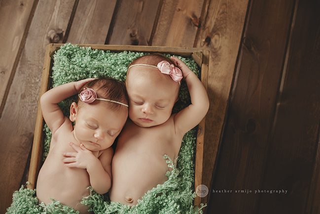 newborn twins katy texas