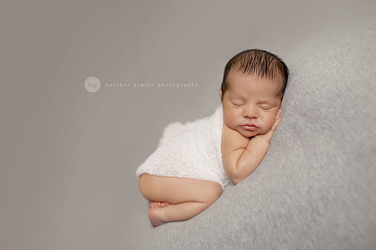 katy texas studio posed newborn baby professional photographer