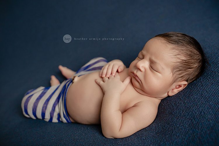 katy texas studio posed newborn baby professional photographer