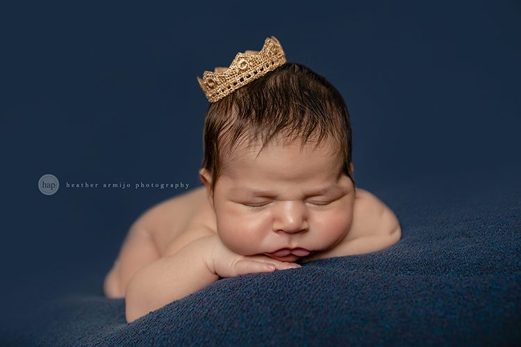 katy texas studio posed newborn baby professional photographer