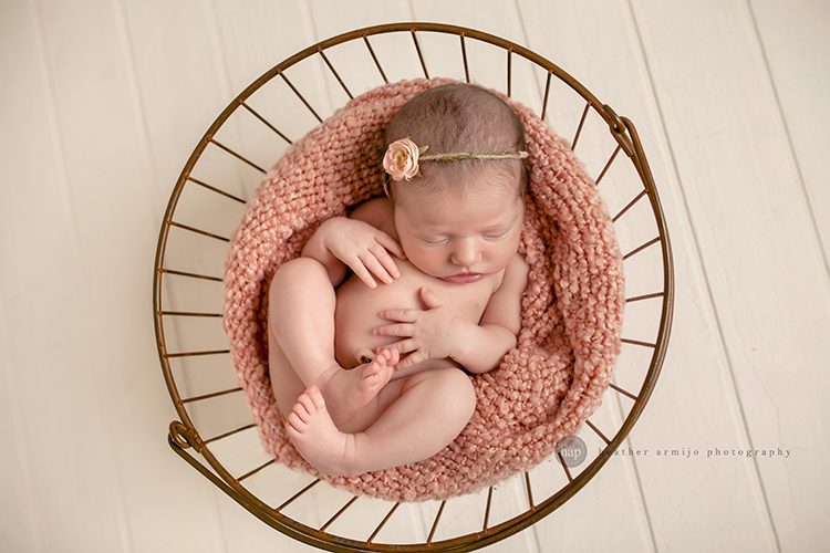 katy texas studio posed newborn baby professional photographer