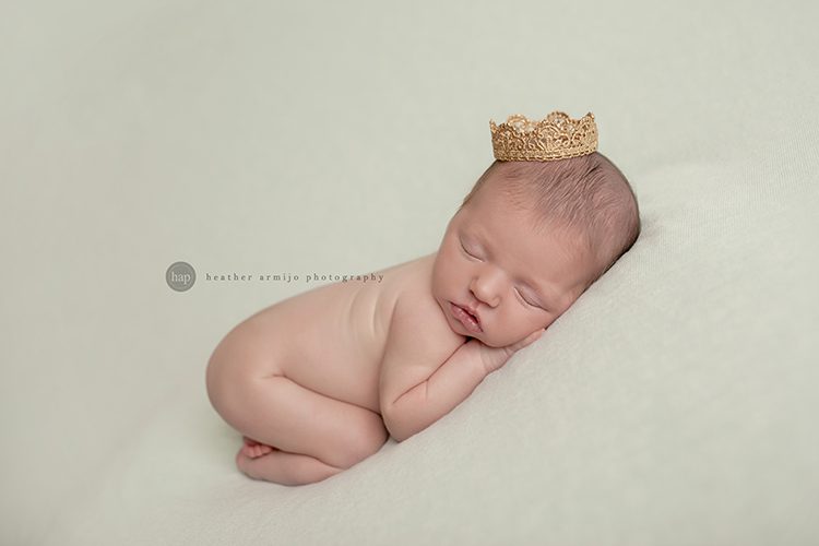 katy texas studio posed newborn baby professional photographer