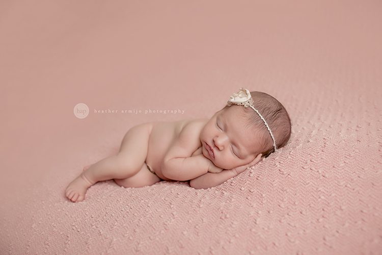 katy texas studio posed newborn baby professional photographer