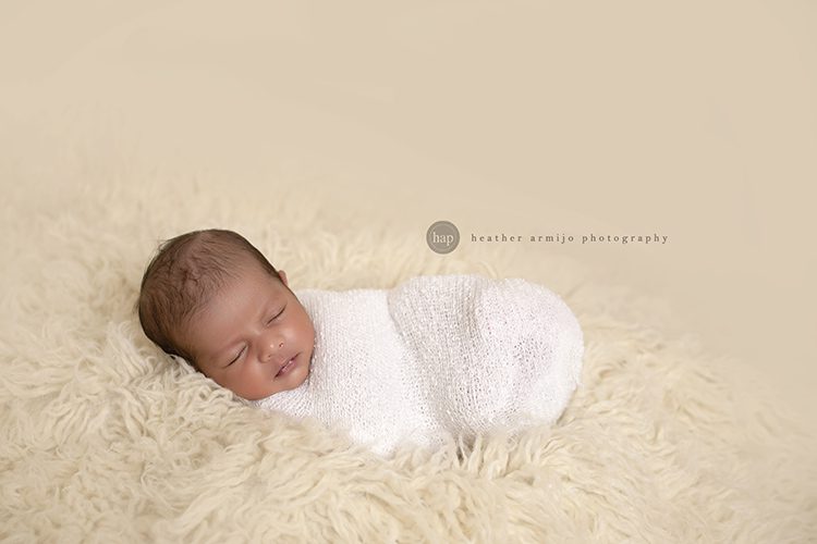 katy texas studio posed newborn baby professional portrait photographer
