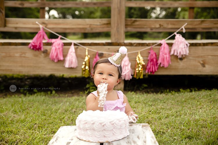katy texas birthday one year child baby cake smash photographer