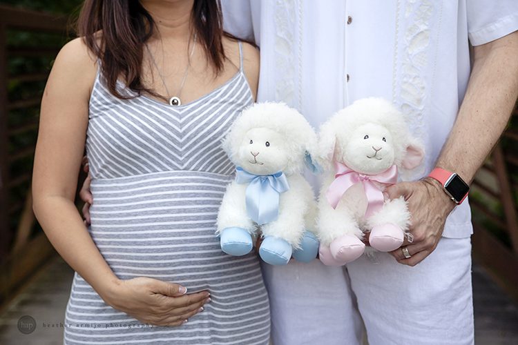 katy texas outdoor photographer maternity newborn gender reveal