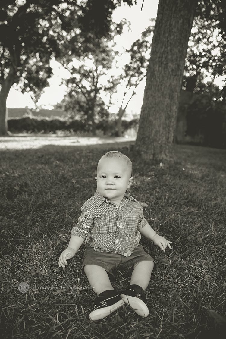 katy texas richmond cake smash outdoor one year first birthday portrait professional photographer