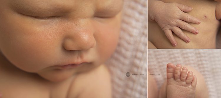 katy texas richmond cinco ranch fulshear newborn best baby infant professional portrait photographer