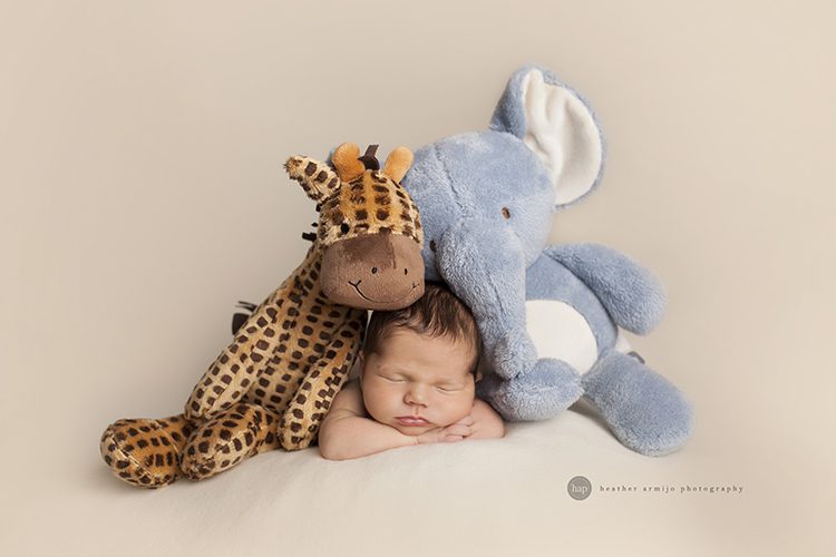 katy texas newborn baby hospital  professional maternity cinco ranch photographer