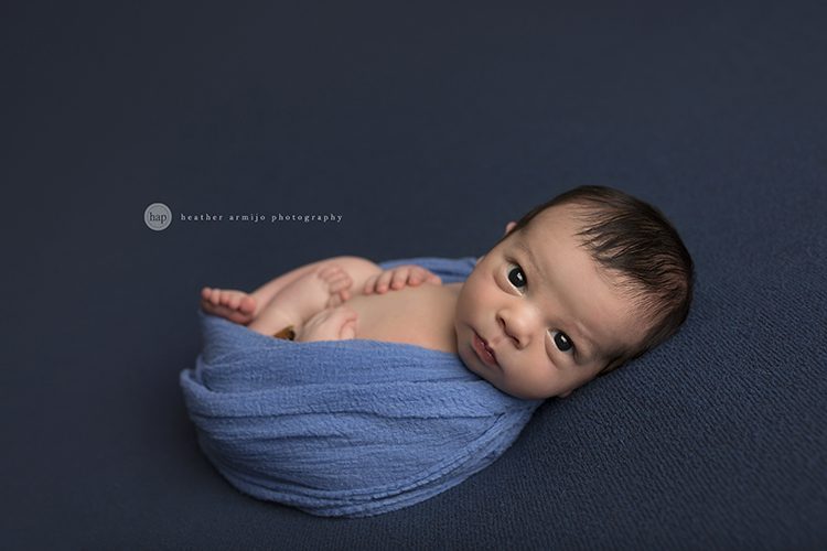 katy tx houston tx newborn baby infant portrait studio best photographer 77494