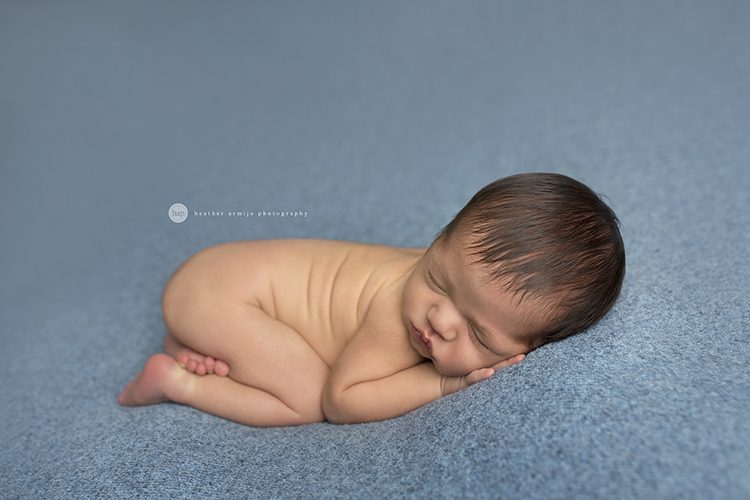 katy tx houston tx newborn baby infant portrait studio best photographer 77494