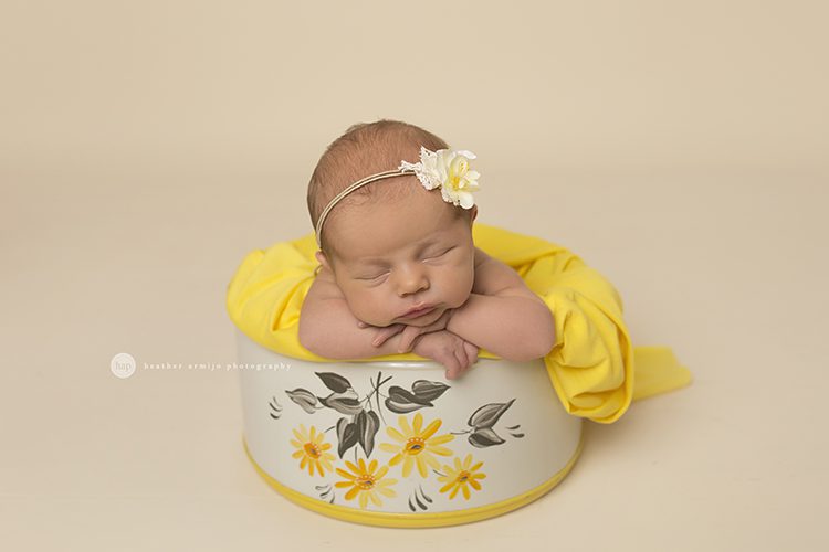 katy tx houston tx newborn baby infant portrait studio best photographer 77494