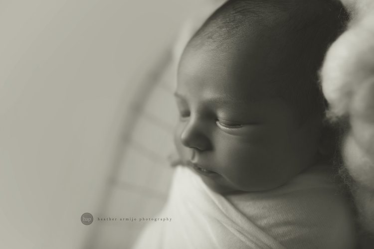 katy tx houston tx newborn baby infant portrait studio best photographer 77494