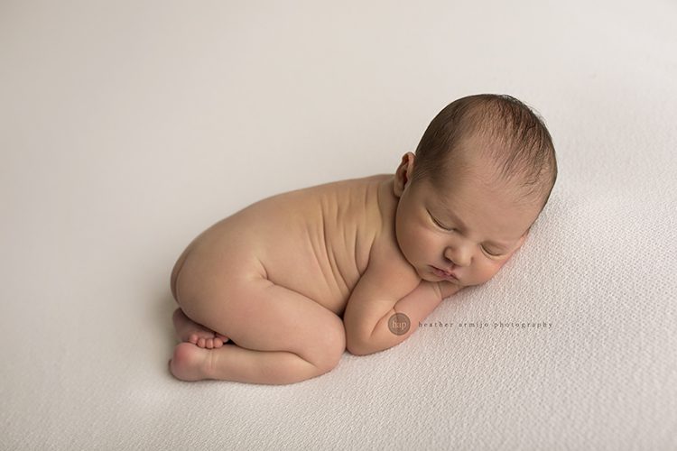 katy tx houston tx newborn baby infant portrait studio best photographer 77494